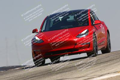 media/Jul-26-2025-Speed Ventures (Sat) [[fe569e6cf0]]/Purple Group/Grapevine/